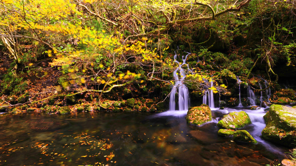 Brilliant autumn...