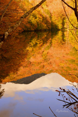 Reflection...