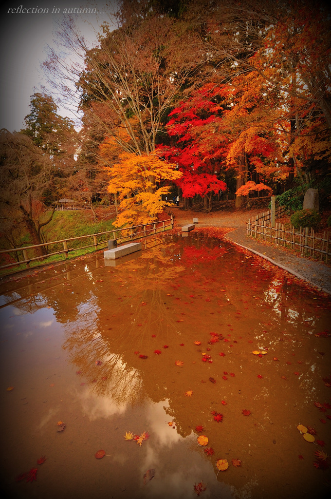 reflection in autumn...