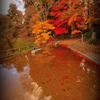 reflection in autumn...