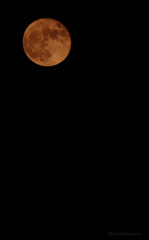 Beautiful moon...