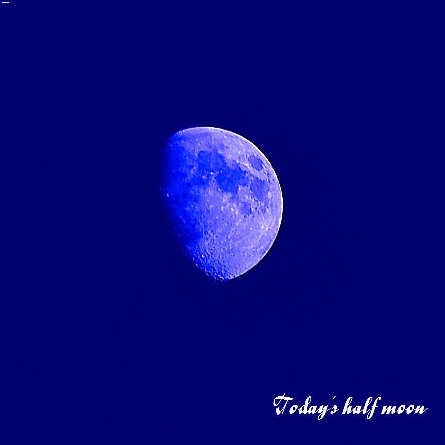 Today's half moon
