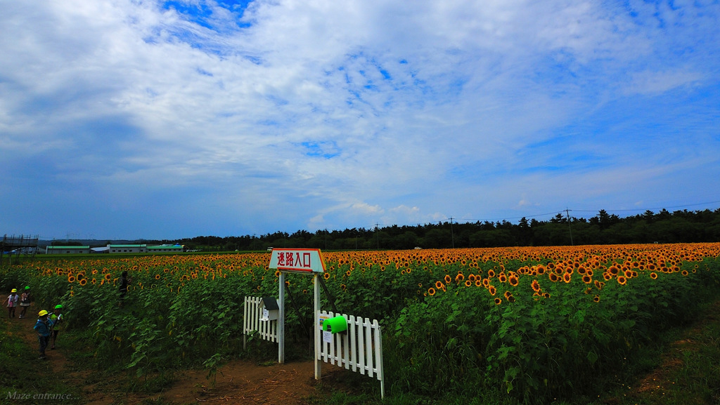 Maze entrance...