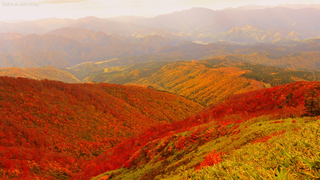 Fall is in full swing...