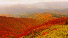 Fall is in full swing...