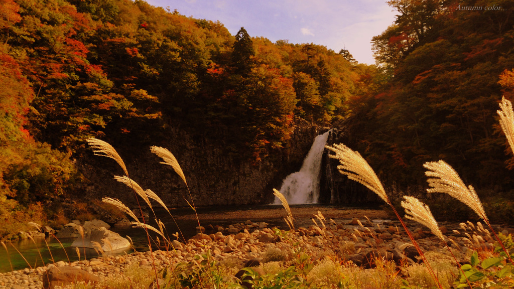 Autumn color...