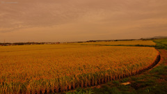 The countryside...