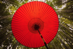 Japanese umbrella...