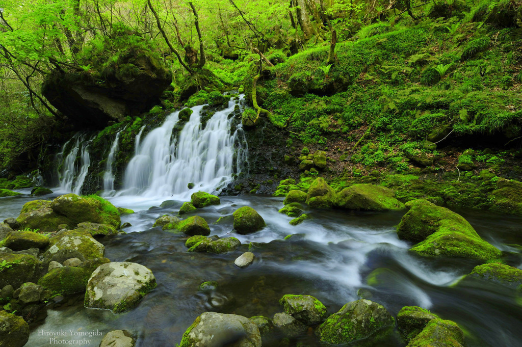 Beautiful nature...