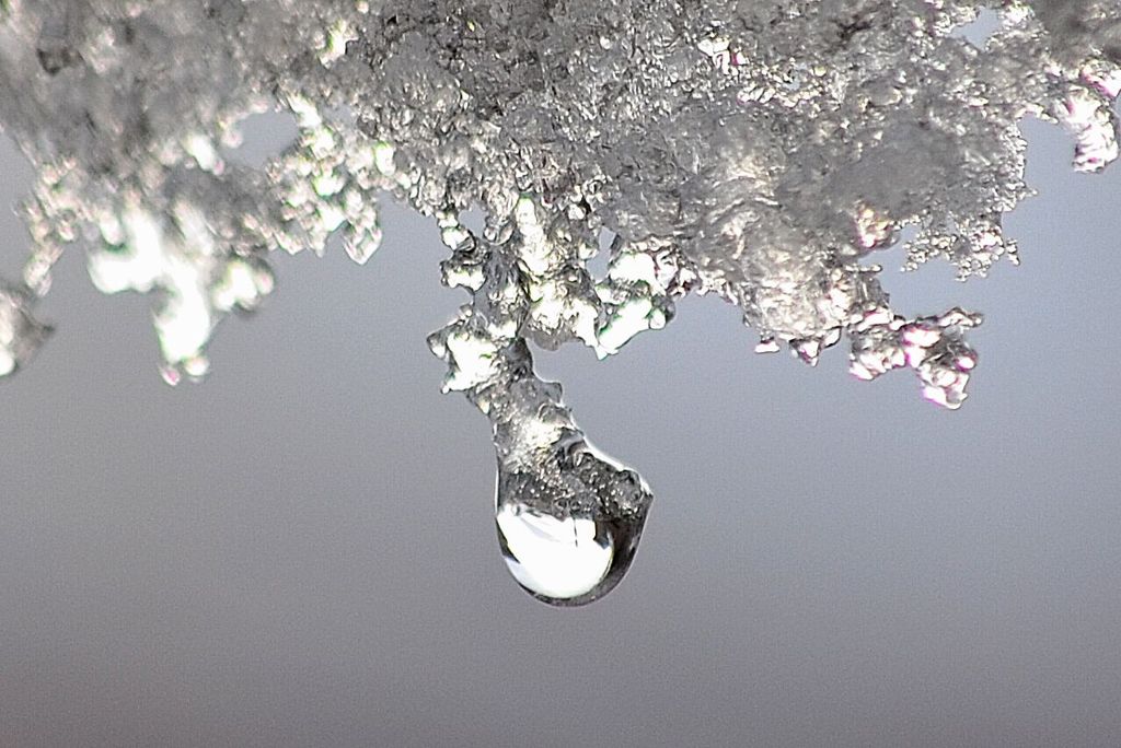 Jewelry of a drop 