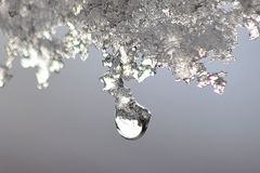 Jewelry of a drop 