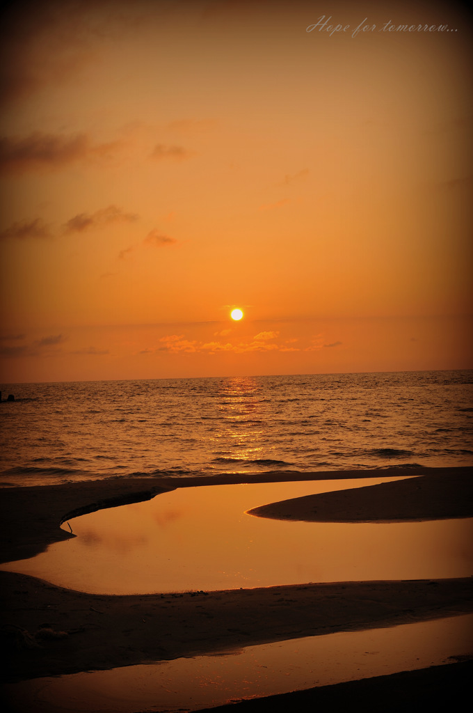 Hope for tomorrow...