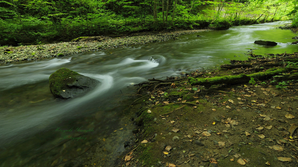 Calm stream...