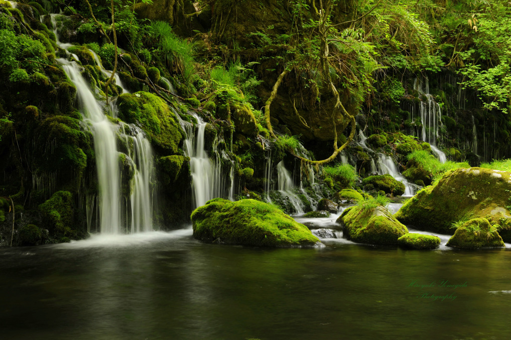 Healing space...