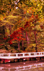 The leaves have begun to change colors..