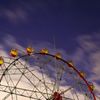 Ferris wheel and starry sky