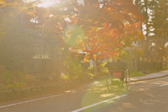 Autumn dream...