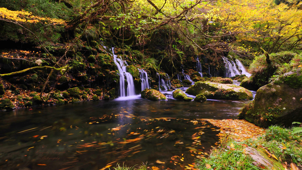 Autumn of joy...