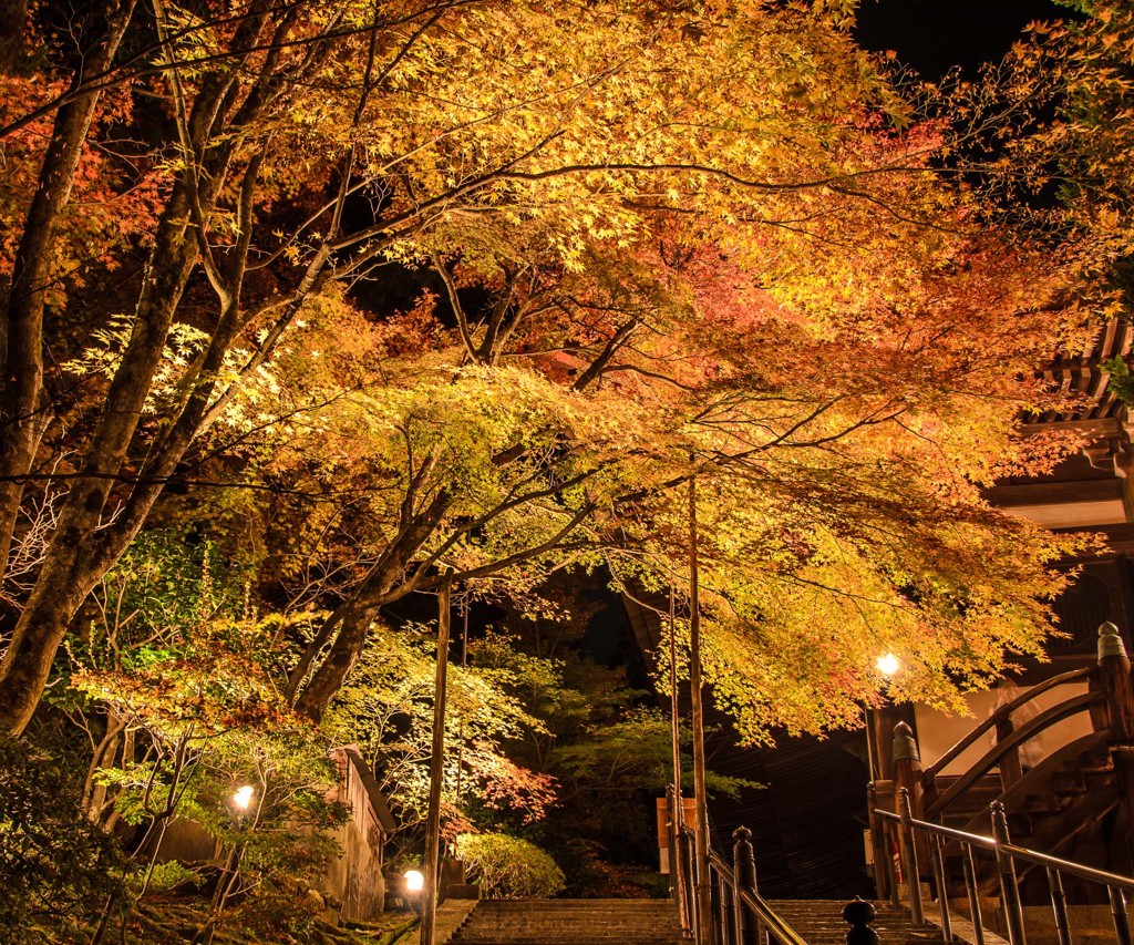 進み始めた紅葉