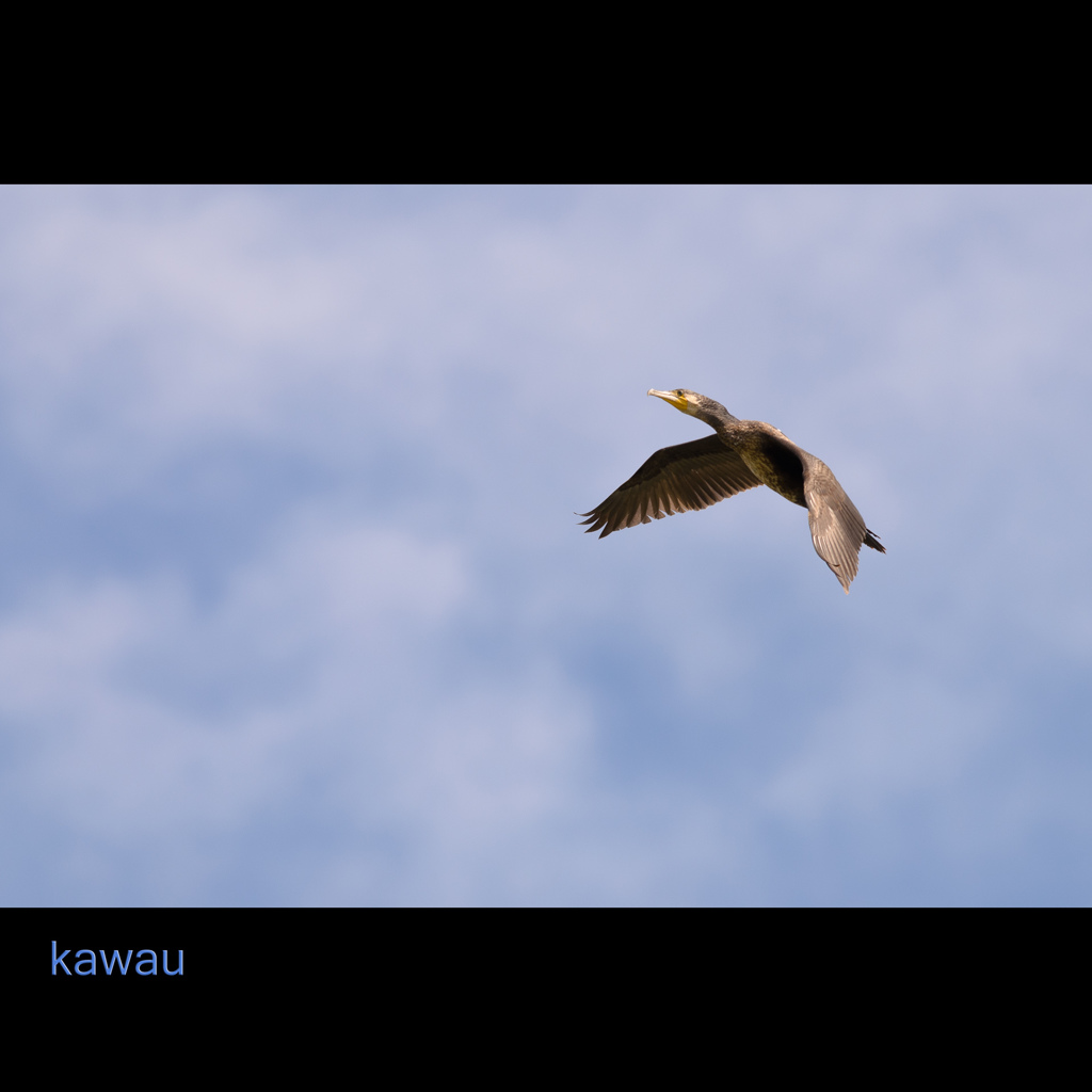 秋空進む