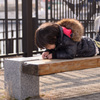 なにしてるのかな？
