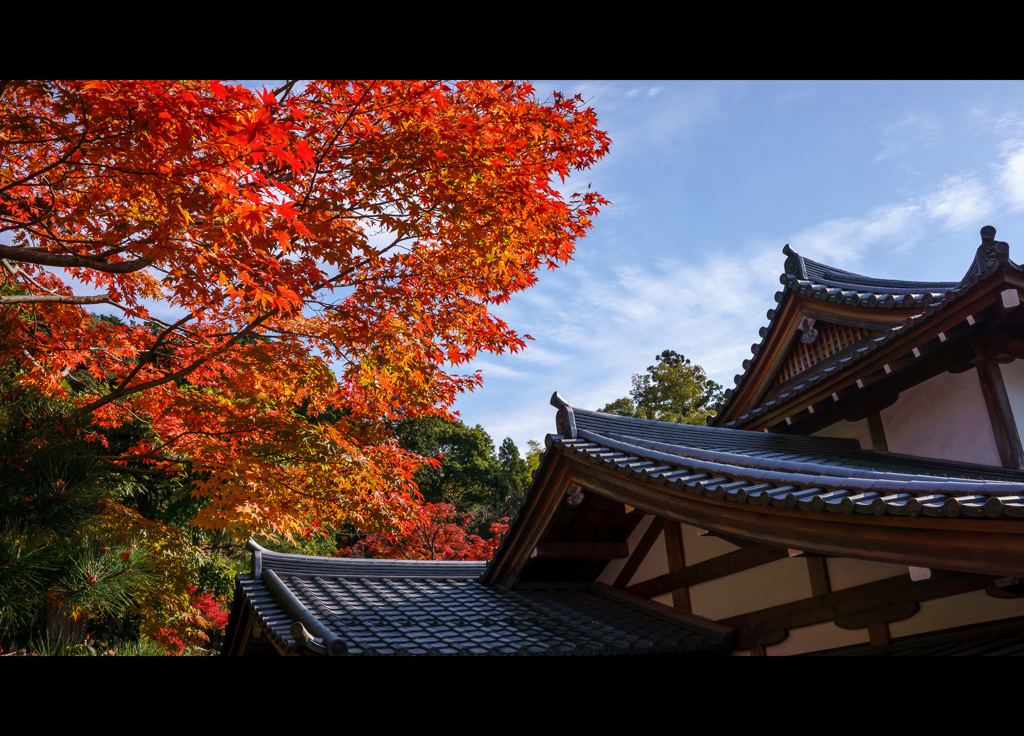 寺　～秋化粧～