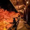 紅染の境内
