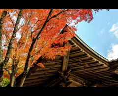 秋の飾り☆お寺