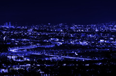 蒼い夜