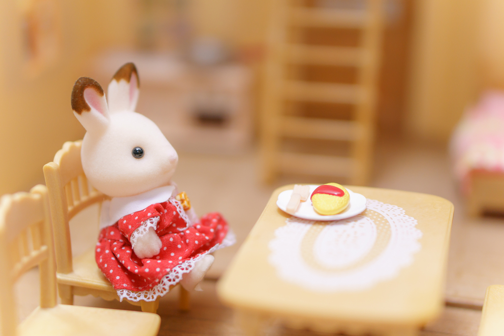 ショコラウサギの夕食