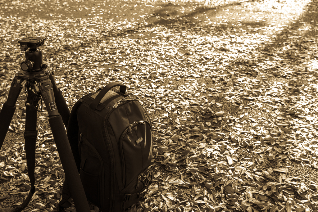 photographere baggage