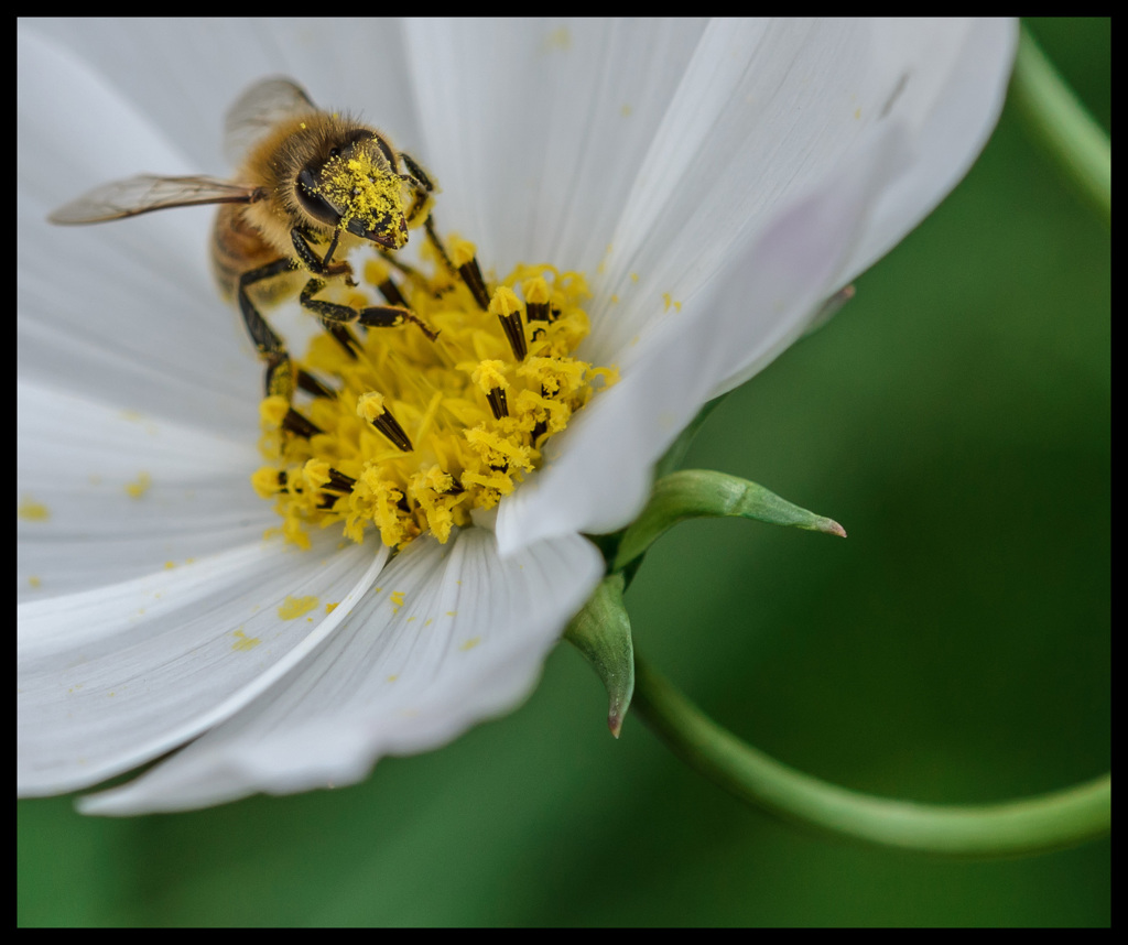 頑張りすぎっ(笑)
