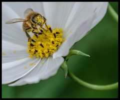 頑張りすぎっ(笑)