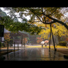 雨のお寺