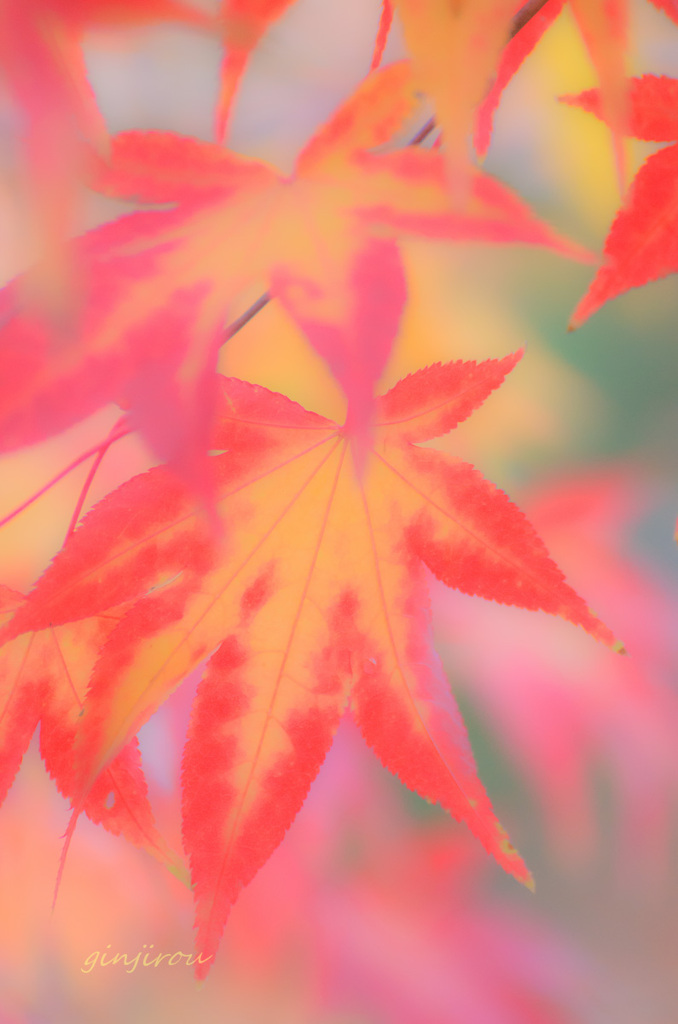 にじみ