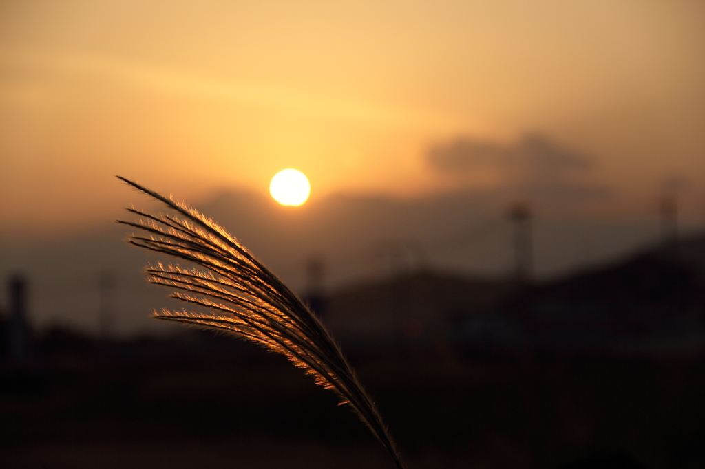 秋の夕暮れ