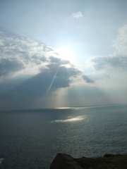 降り注ぐ太陽の光