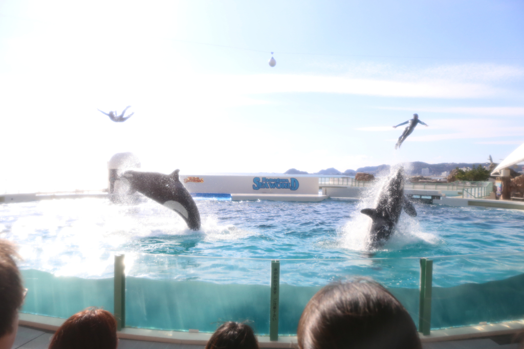 人間ロケット！