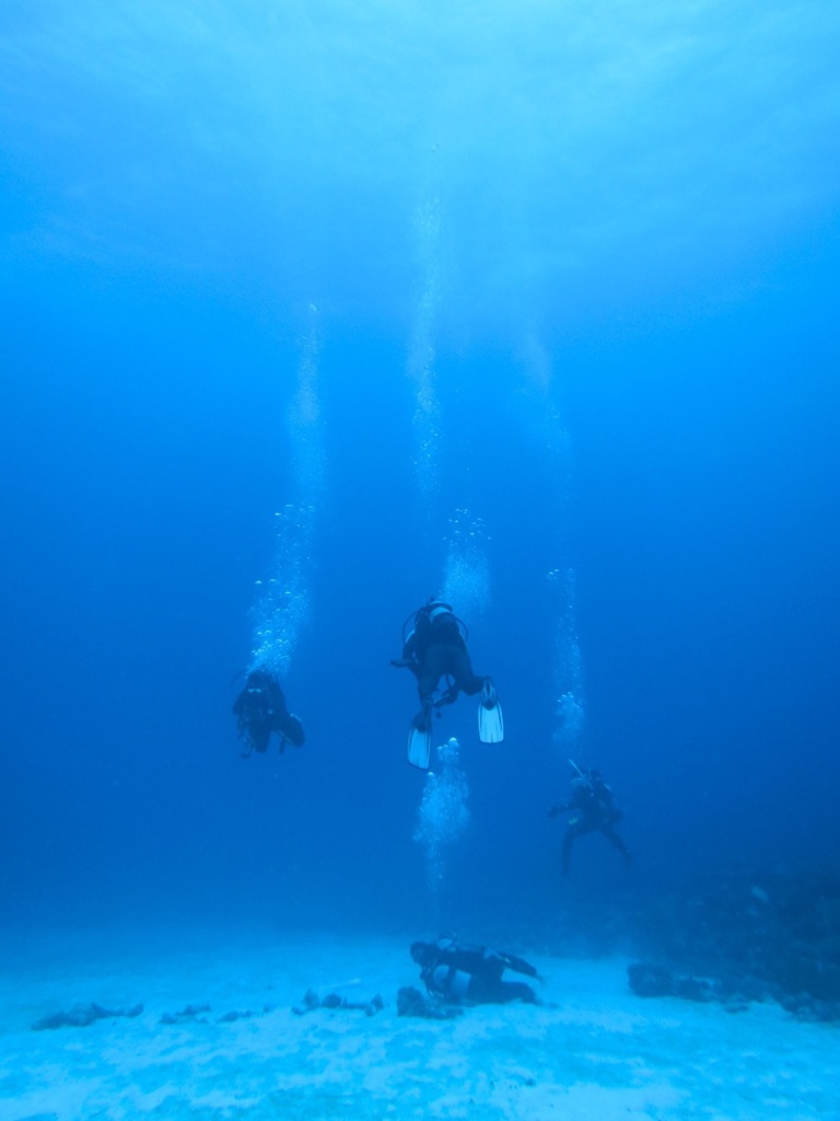 水の色