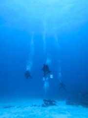 水の色