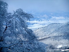 雪景色