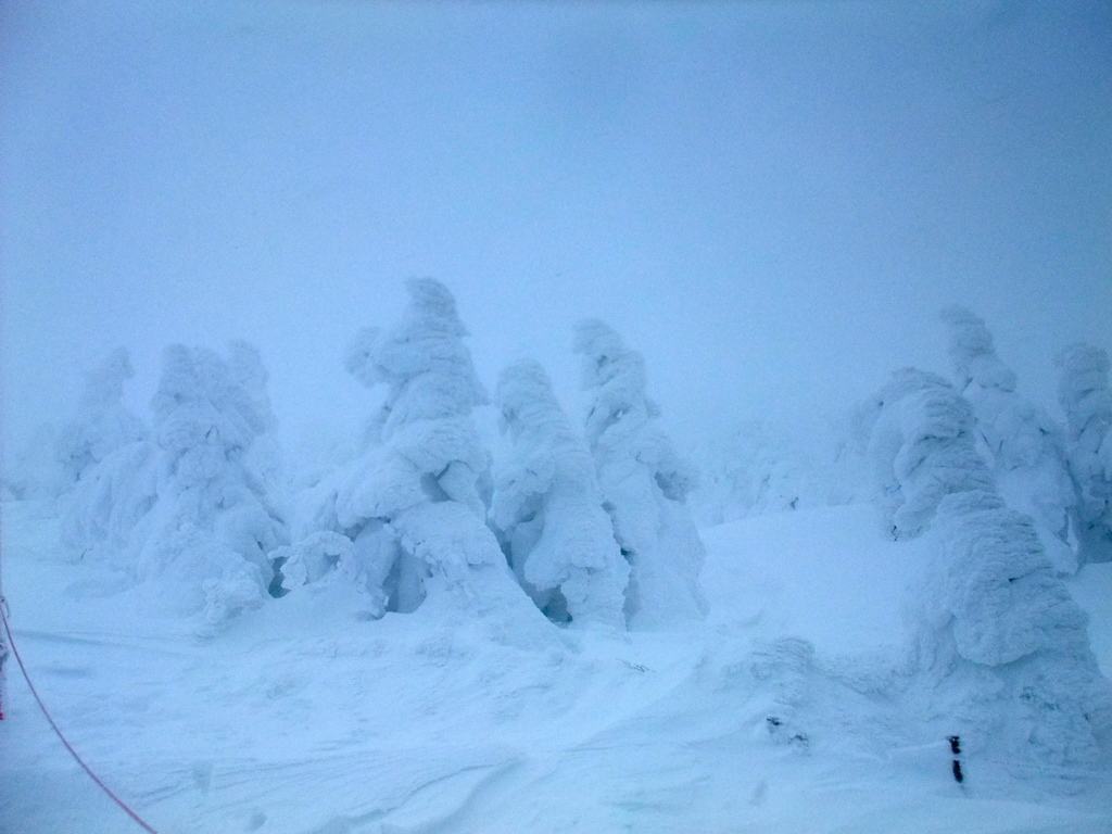 標高１６６１m　山頂