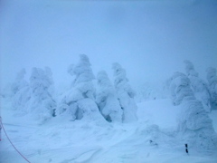 標高１６６１m　山頂