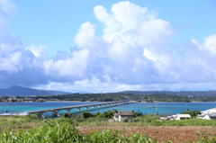 小さな離島へ続く橋。