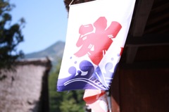 夏の始まりは。。。