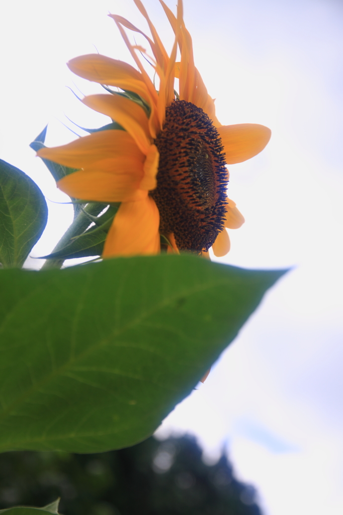 130803_0014