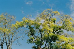 FH000018
