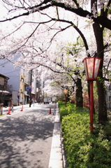 130404_0002