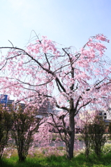 130404_0004