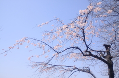 130330_0017